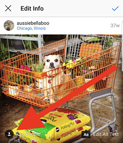 add-instagram-tag-after-posting