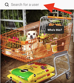 add-person-to-published-post