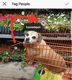 how-to-delete-instagram-tag