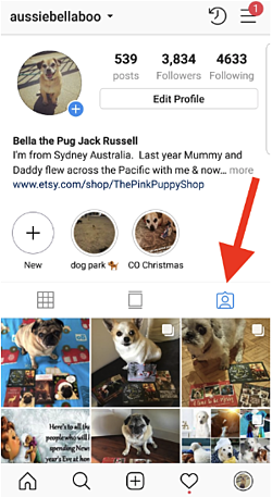 how-to-see-instagram-posts-you-are-tagged-in