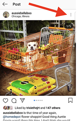 how-to-tag-people-on-instagram-after-posting